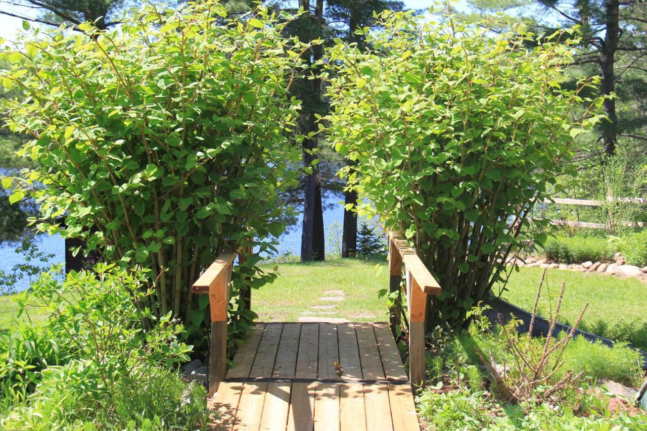 Spring Lake Resort Dwight Екстериор снимка