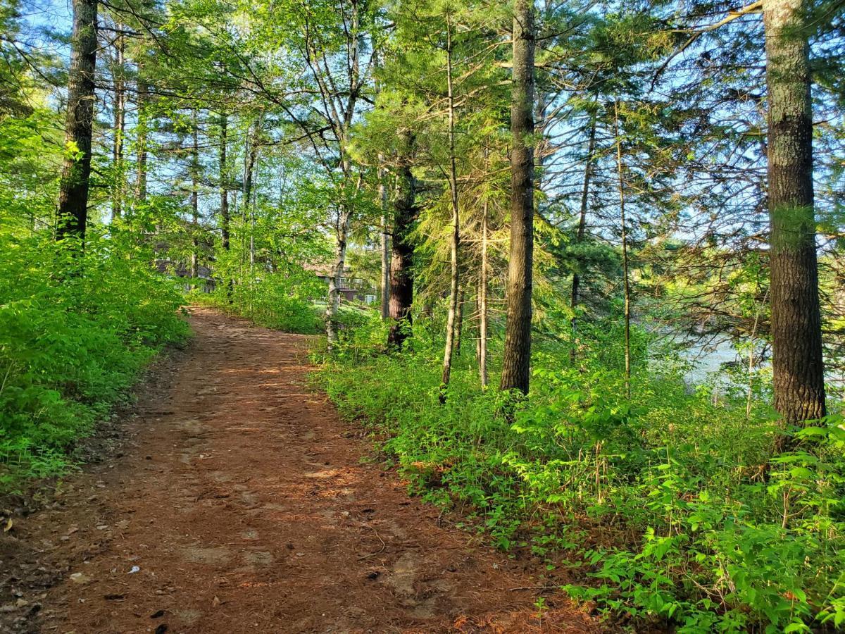 Spring Lake Resort Dwight Екстериор снимка