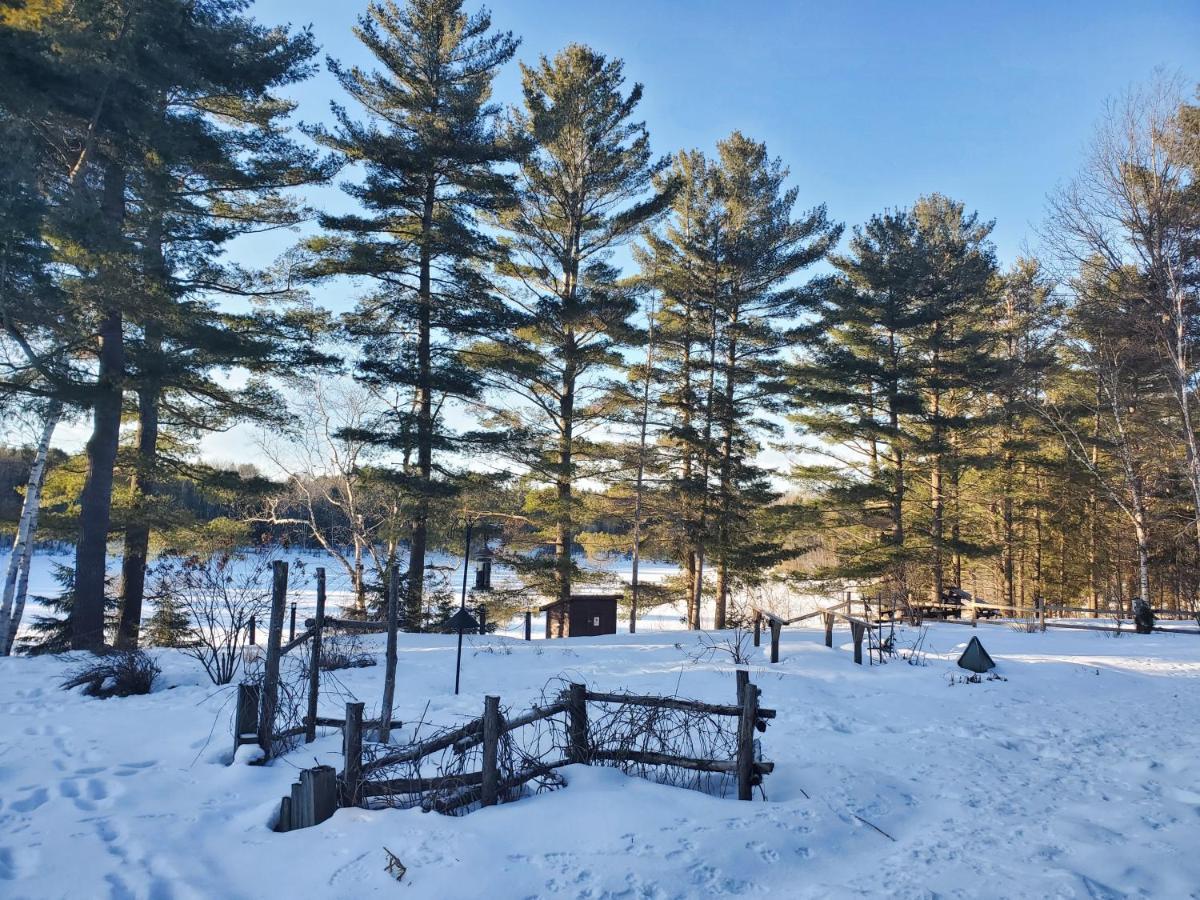 Spring Lake Resort Dwight Екстериор снимка