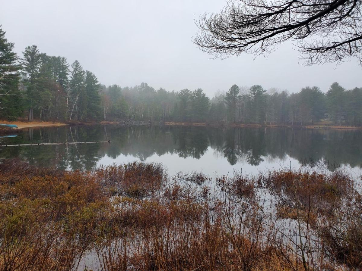 Spring Lake Resort Dwight Екстериор снимка