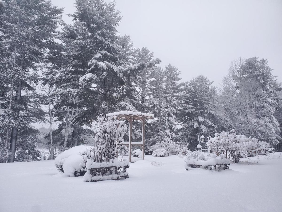 Spring Lake Resort Dwight Екстериор снимка