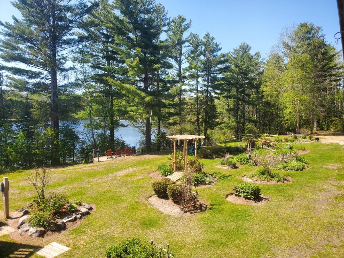 Spring Lake Resort Dwight Екстериор снимка