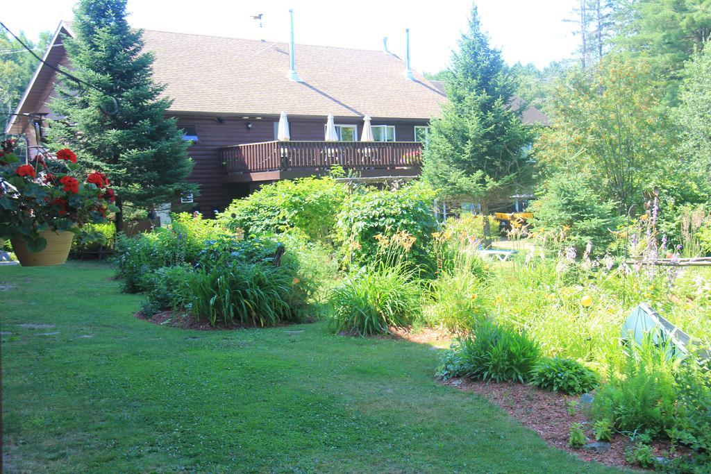 Spring Lake Resort Dwight Екстериор снимка